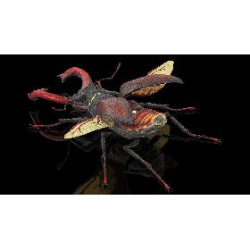 3D Lucanus Cervus Stag Beetle Fur Rigged